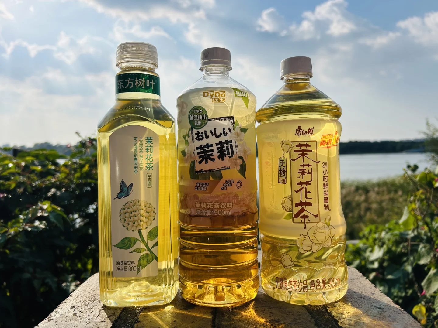 DyDo达亦多茉莉花茶