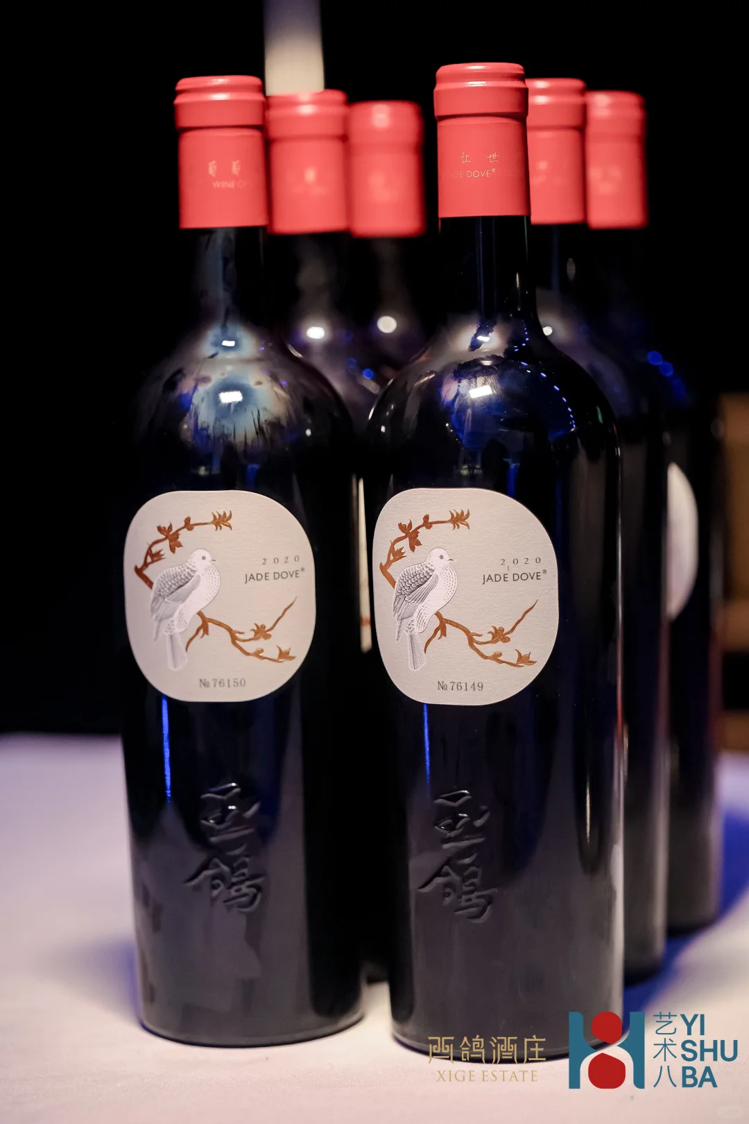 ✨2025北京文化论坛｜光影百年 · 中法同行✨