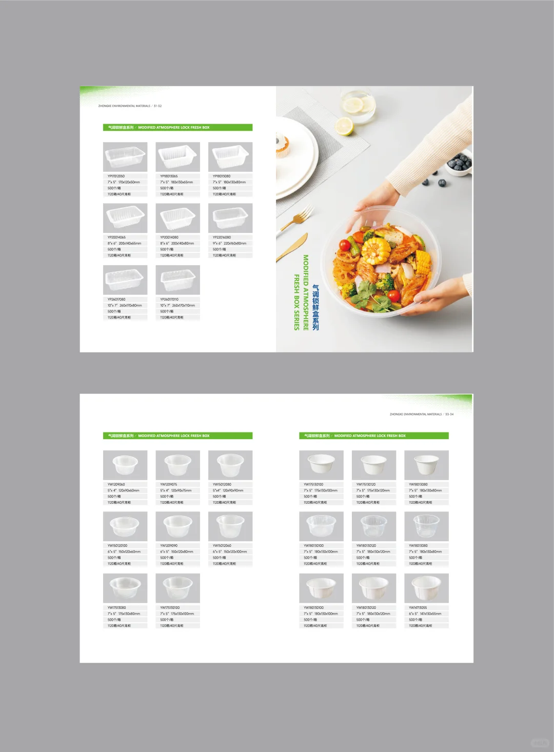 外贸英文 环保科技可降解餐具材料画册设计