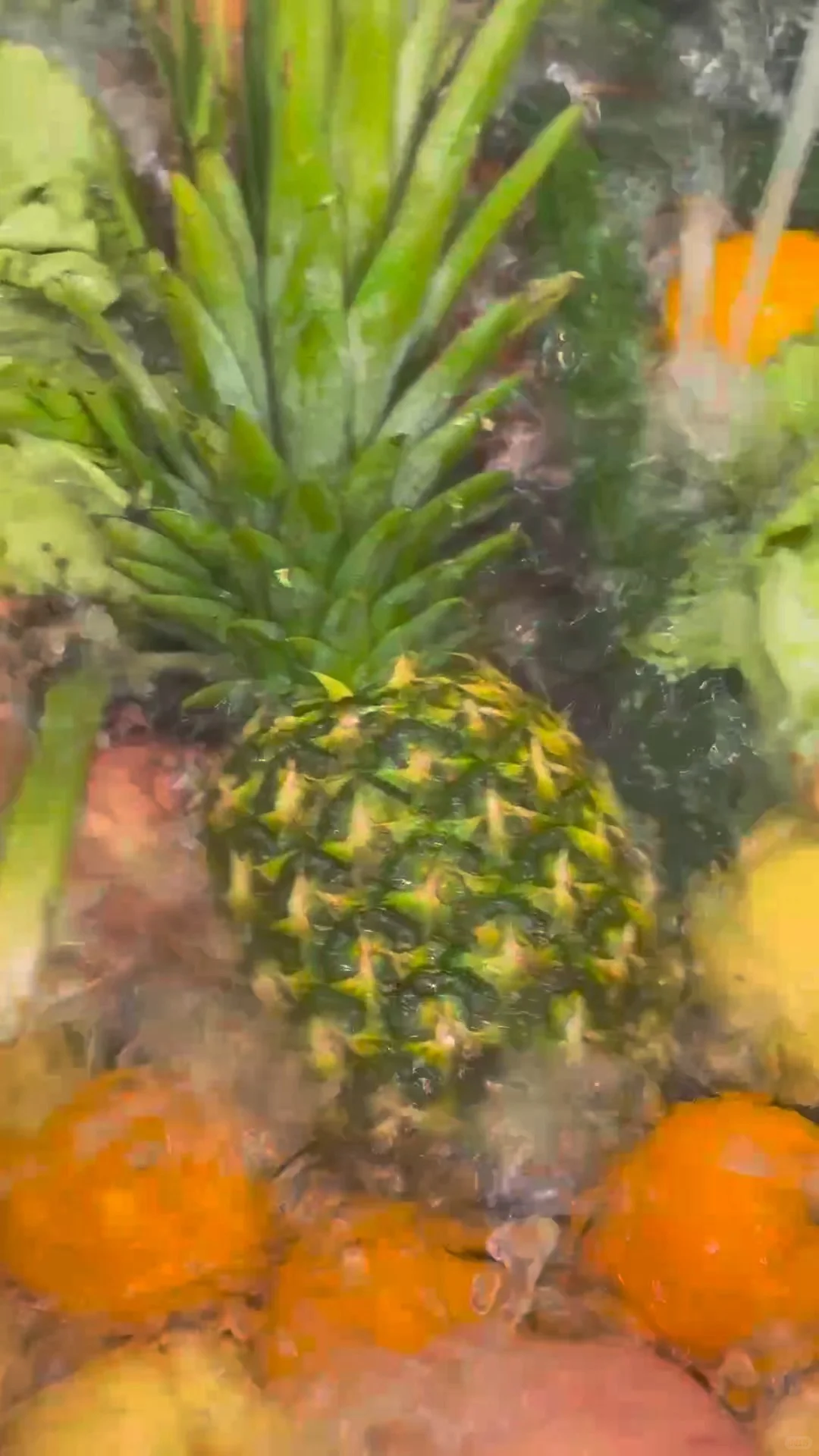 南京轻断食果蔬汁｜液断心情是彩色的～?