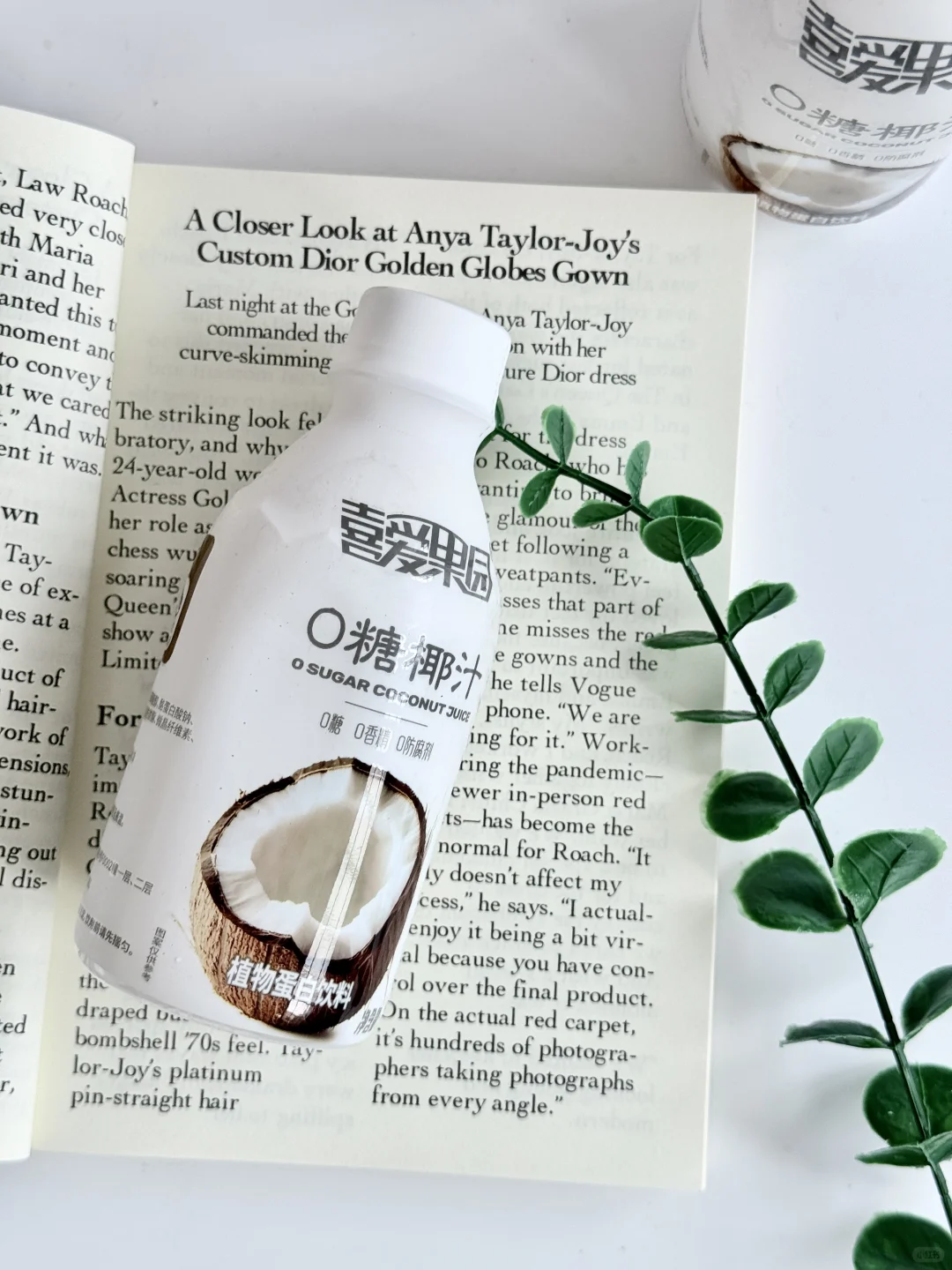 椰汁脑袋快点冲??