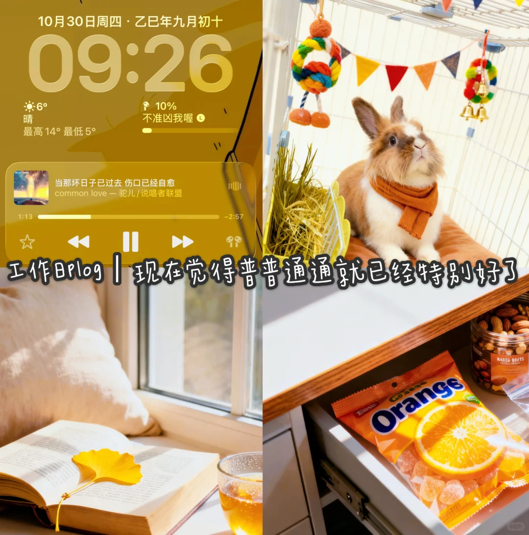 工作日plog丨揣着一口袋的开心满载而归