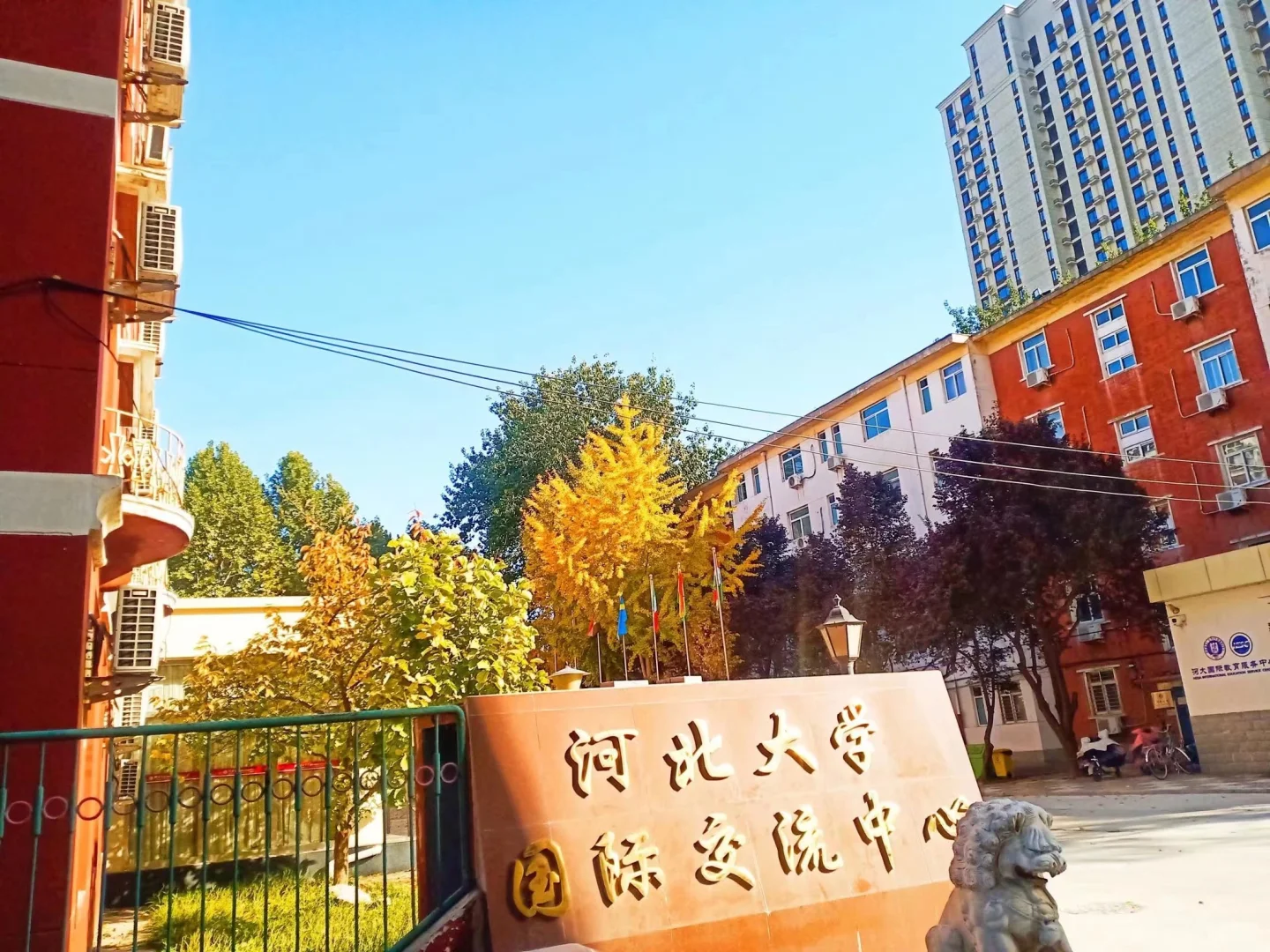 河北大学国际青年文化交流协会