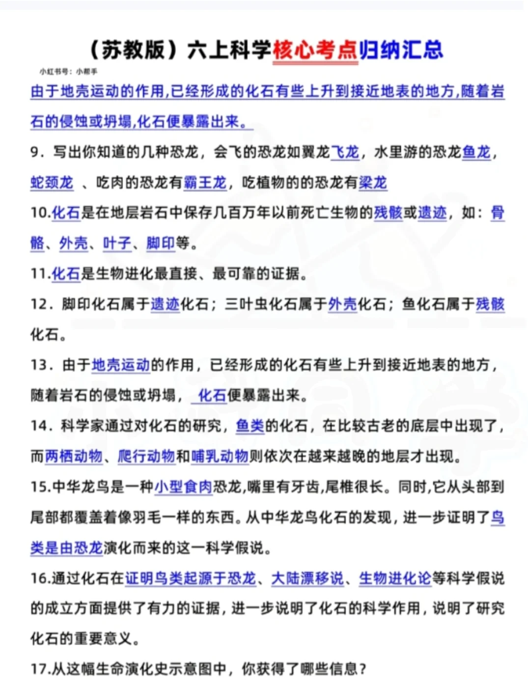 苏教版科学六年级上册期中期末核心考点汇总