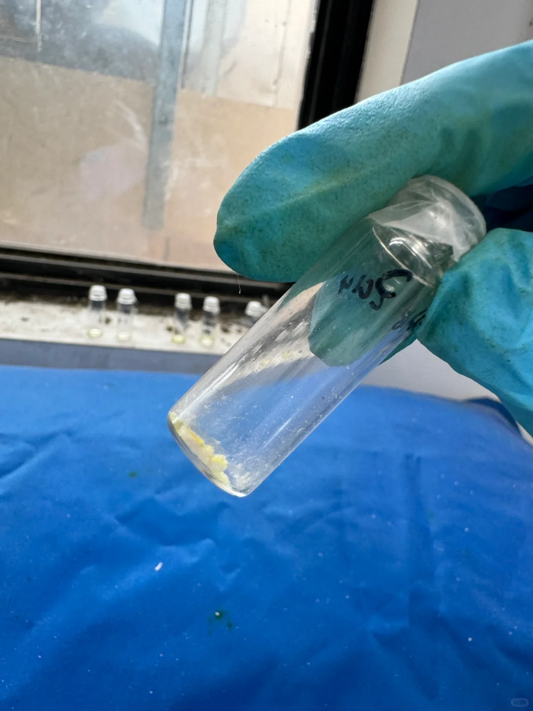 单晶培养，求助?