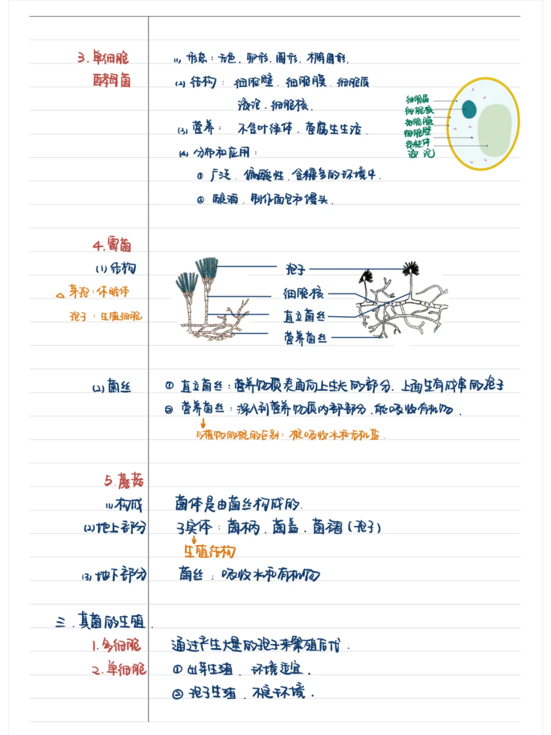 探寻真菌的神秘世界?