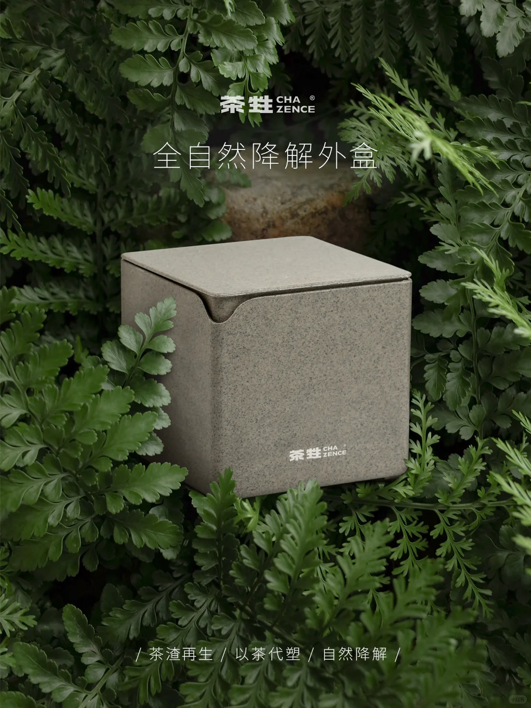 又是被自然元气治愈的一天 ✨