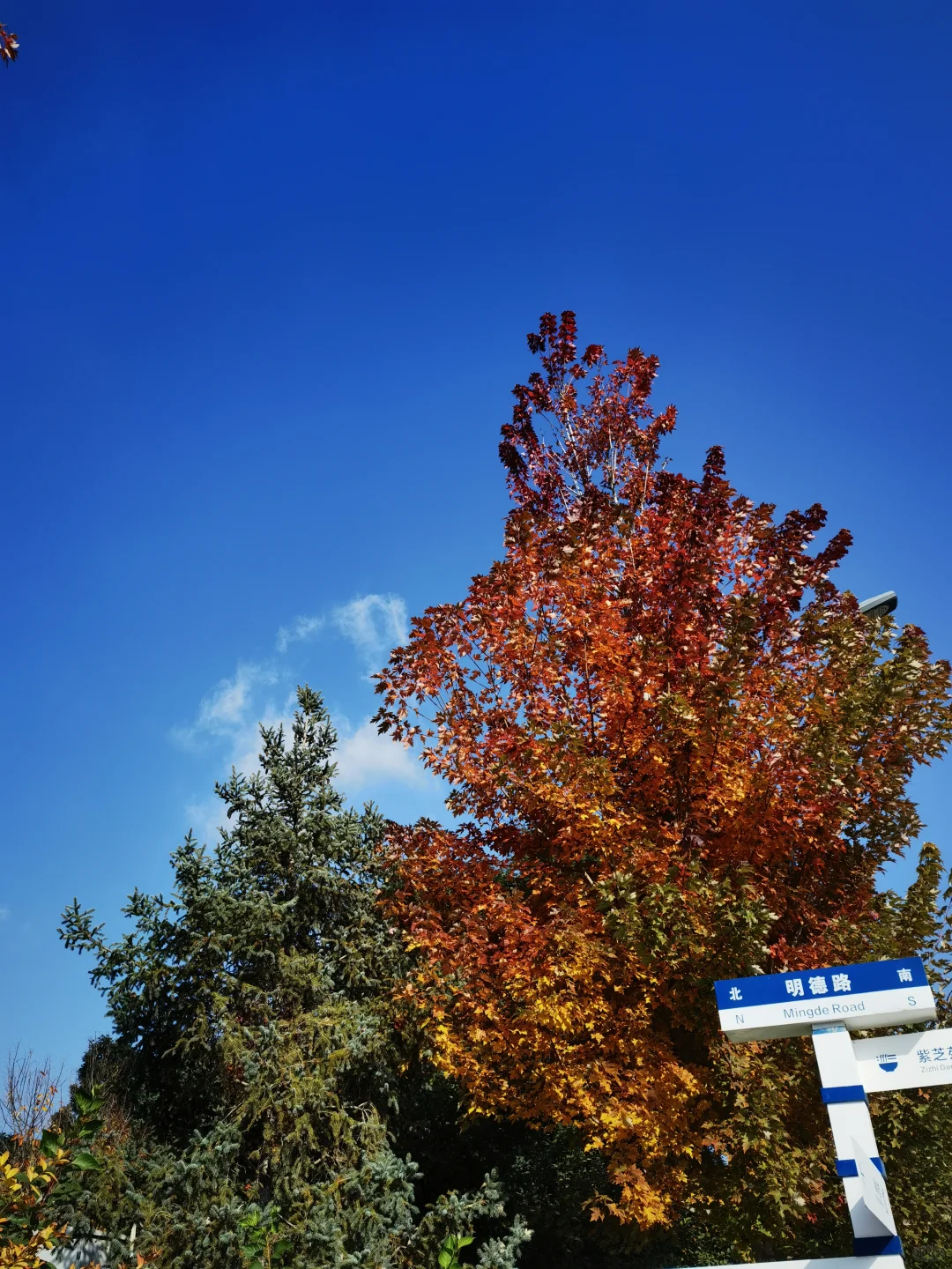 国际文化交流节～