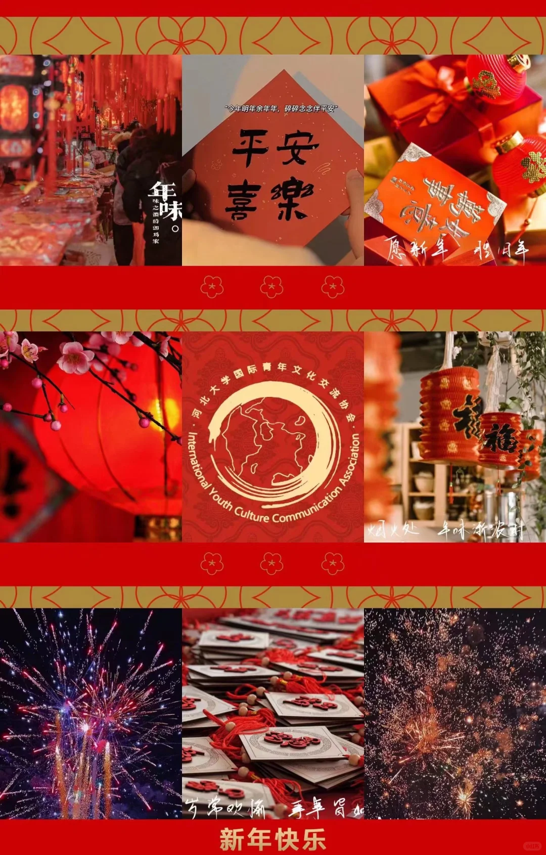 河北大学国际青年文化交流协会