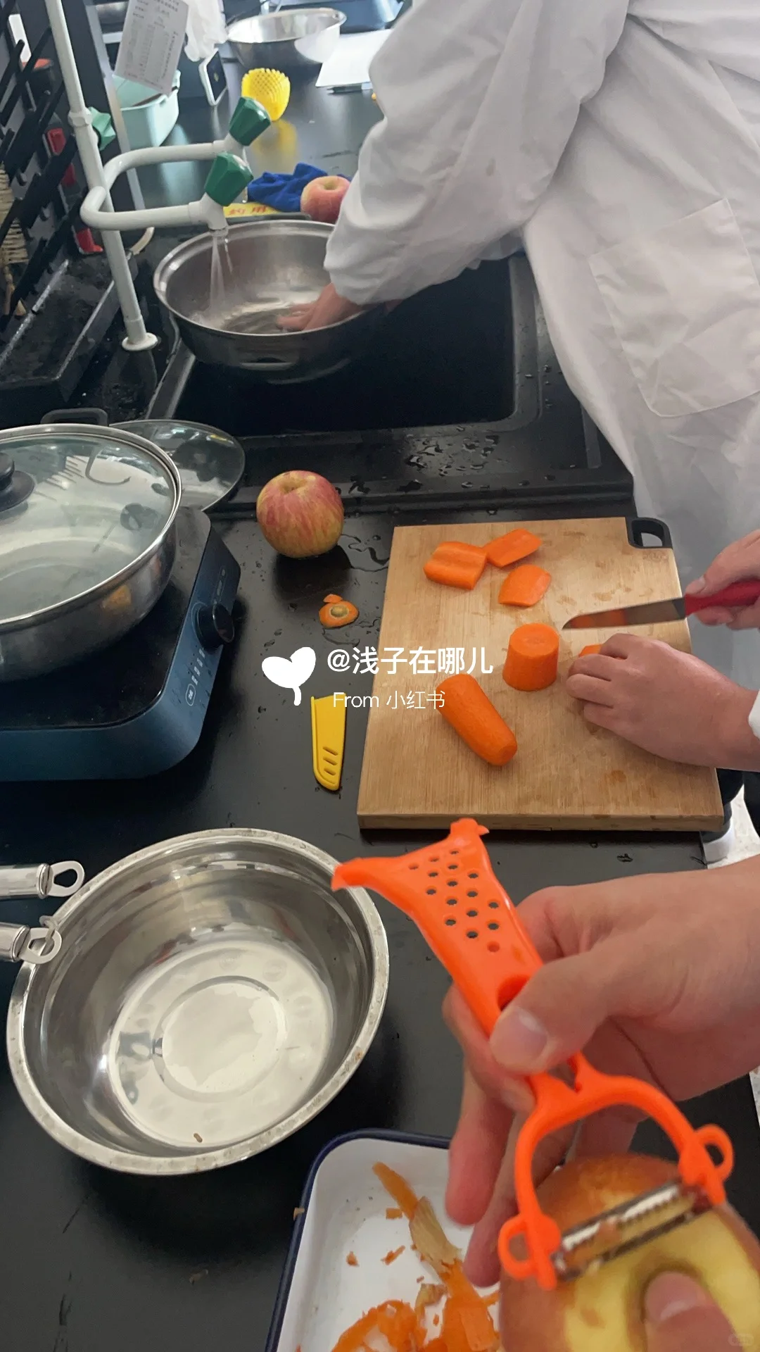 复合果蔬汁饮料制作·大学·食品