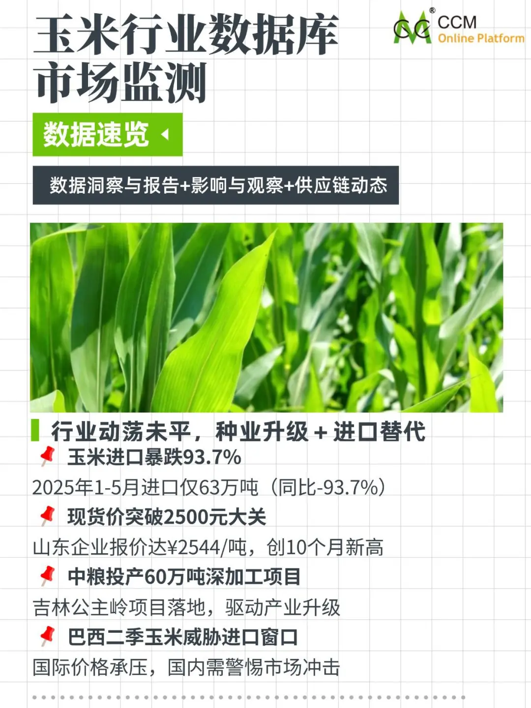 进口玉米暴跌93.7%！国产涨14.6%创新高