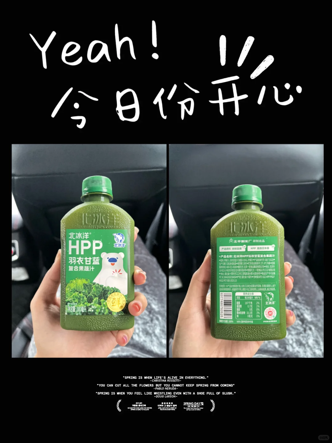 羽衣甘蓝?有点东西啊 北冰洋开始跨界了么