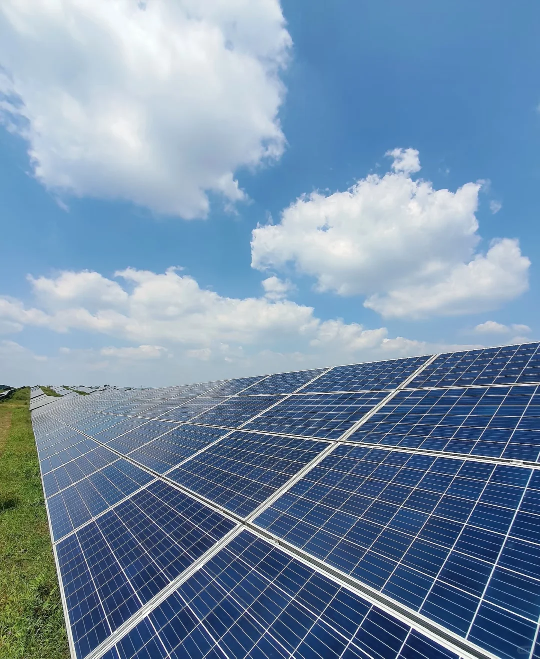 光伏贸易商✨✨