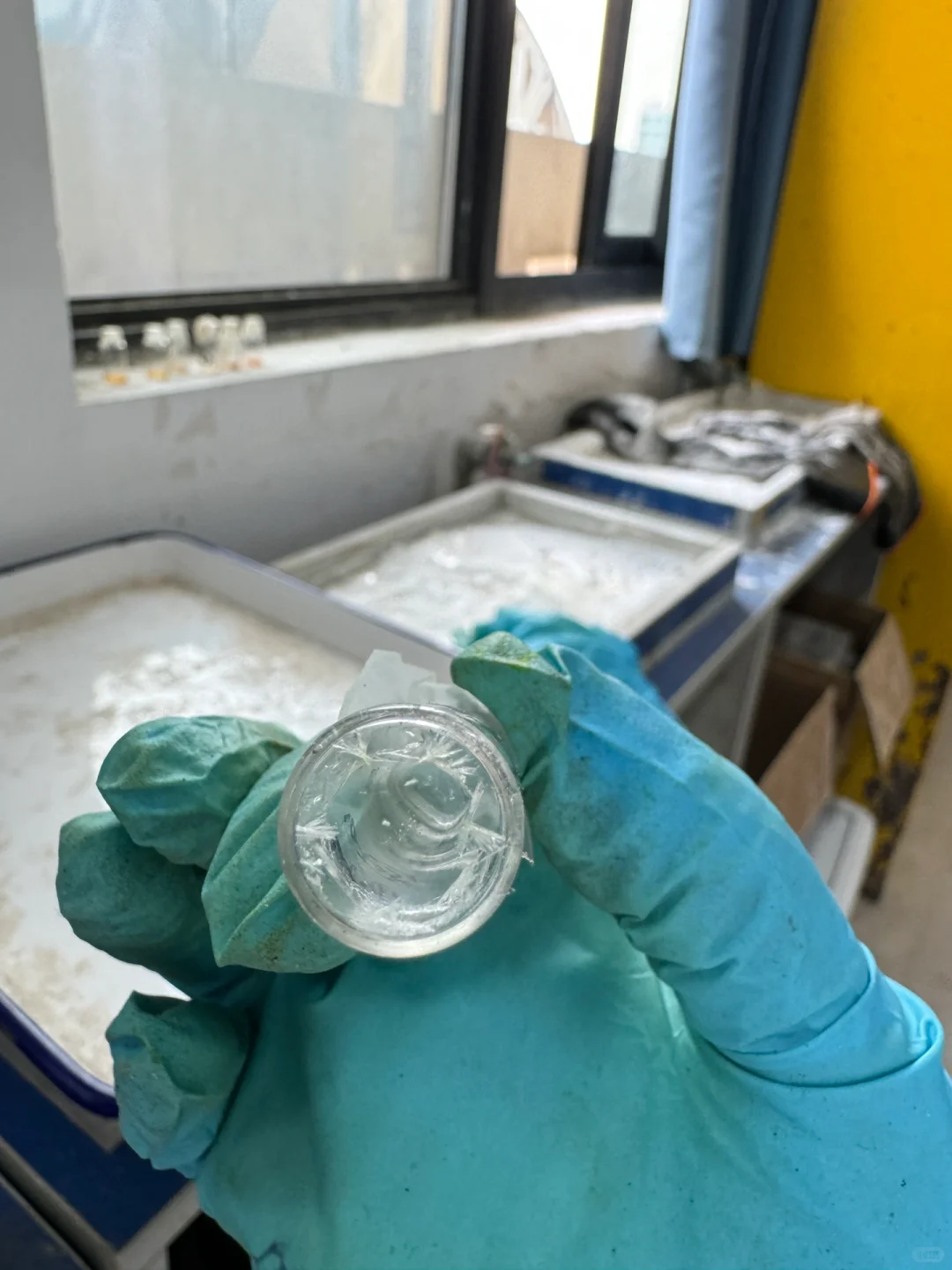 单晶培养，求助?