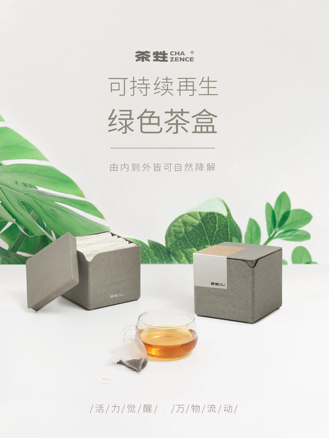 又是被自然元气治愈的一天 ✨