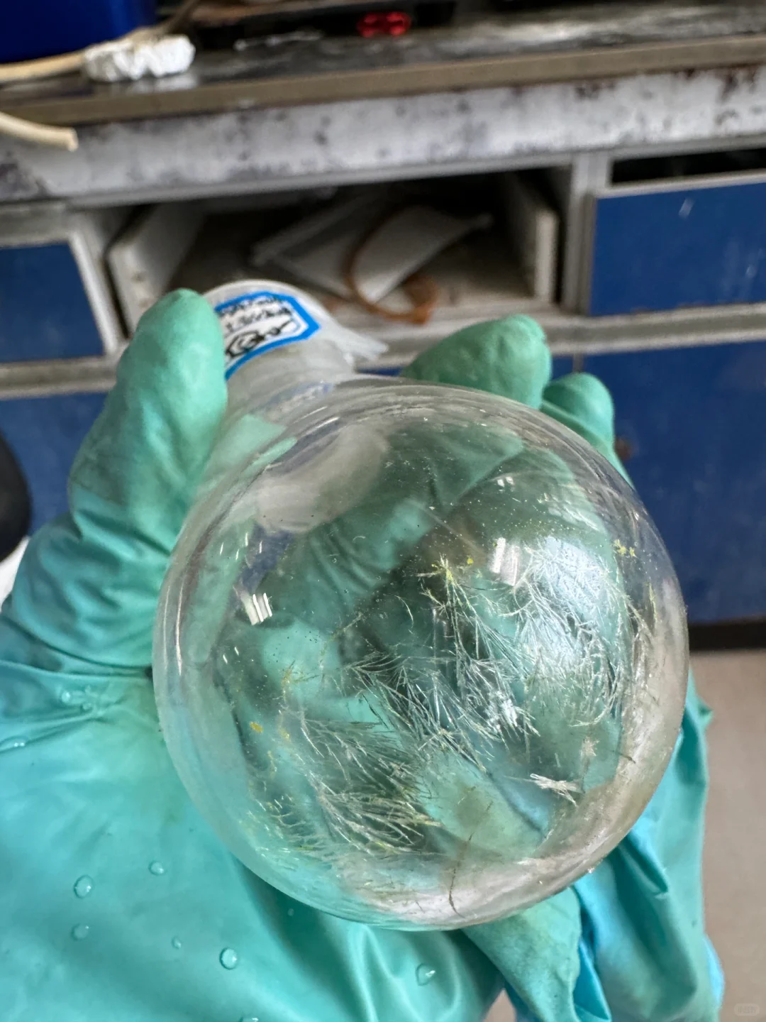 单晶培养，求助?