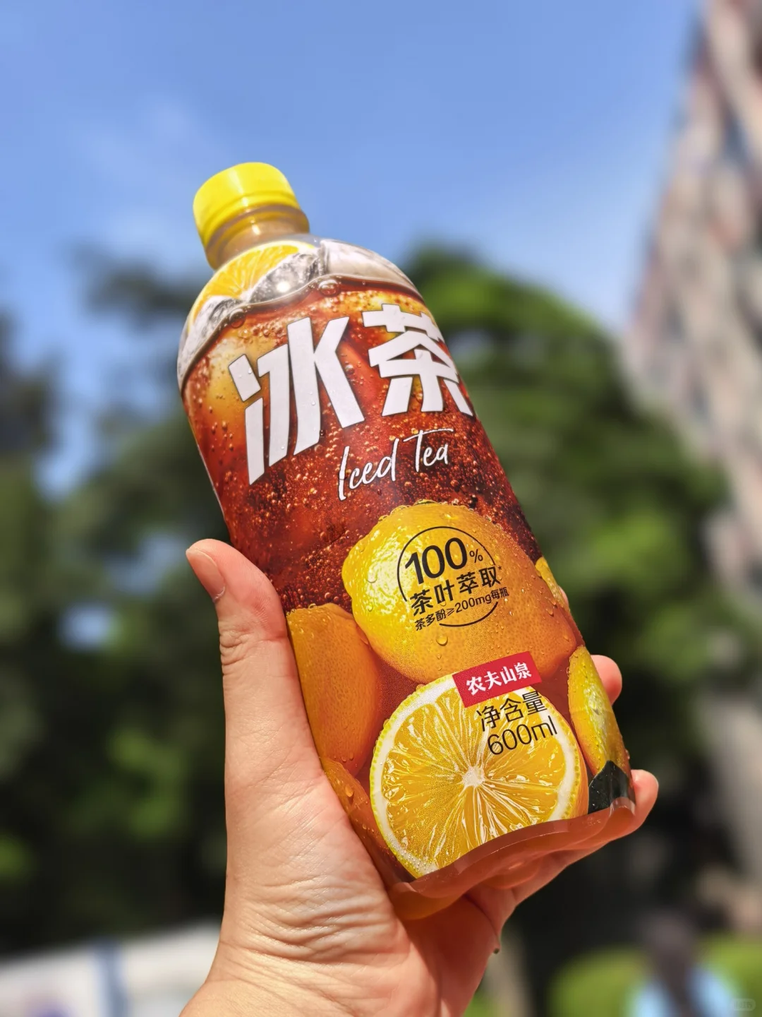 喝满一百杯(27/100)真奇怪?