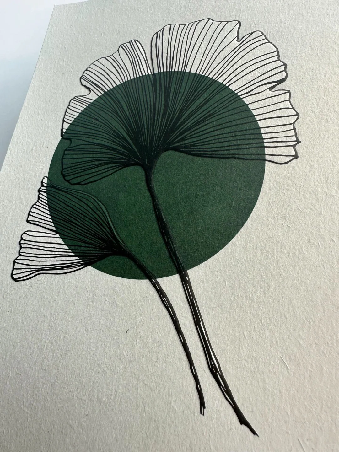 ♻️环保纸张➡️甘蔗渣纸