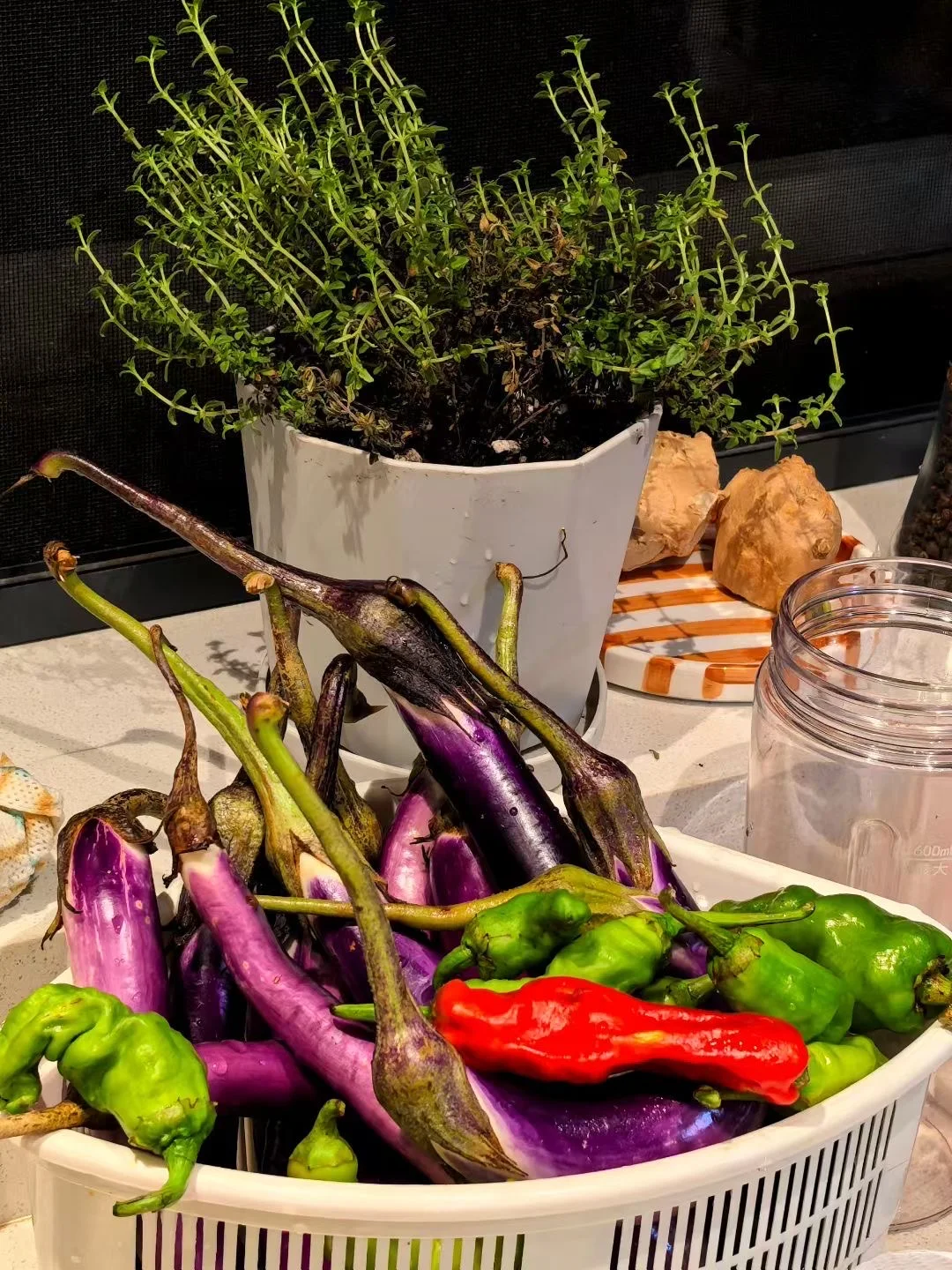 没有XS饮料的盛筵不叫饕餮