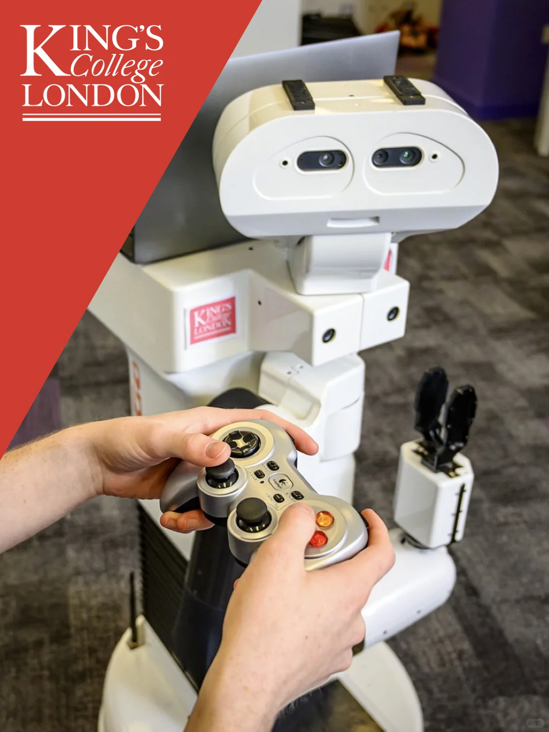 官宣|英国伦敦国王学院正式入驻小红书 ?