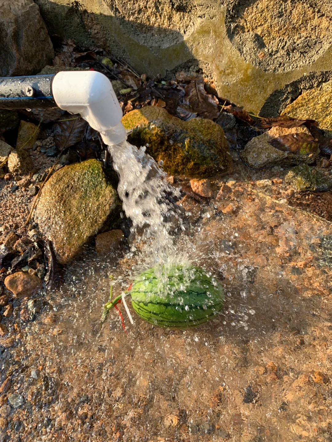 去郊区，一定要打甘甜的天然山泉水?回来