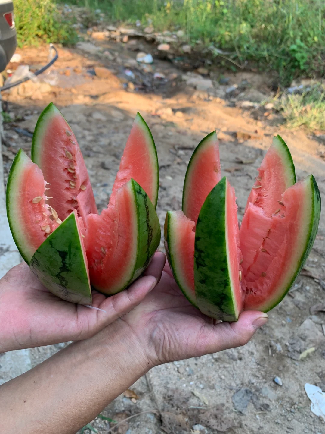 去郊区，一定要打甘甜的天然山泉水?回来