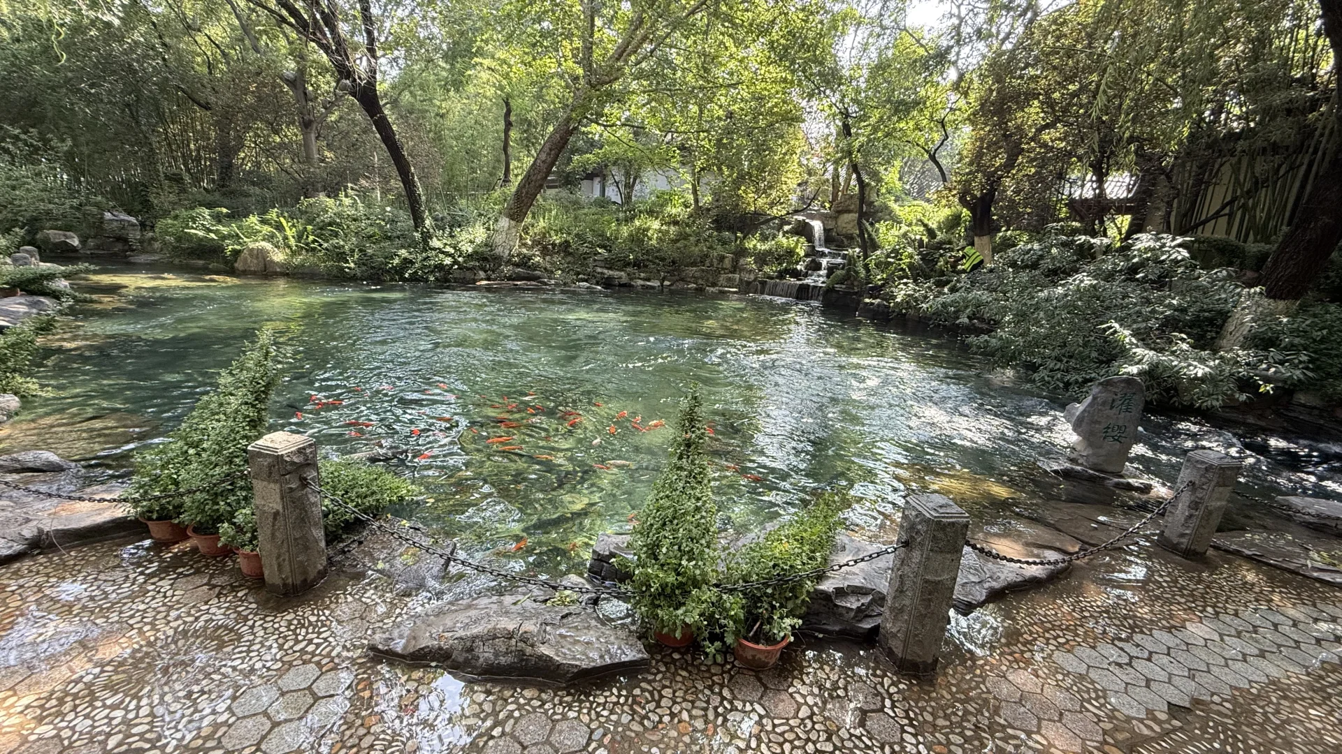 live图｜今天的济南是“清泉石上流”的具象化