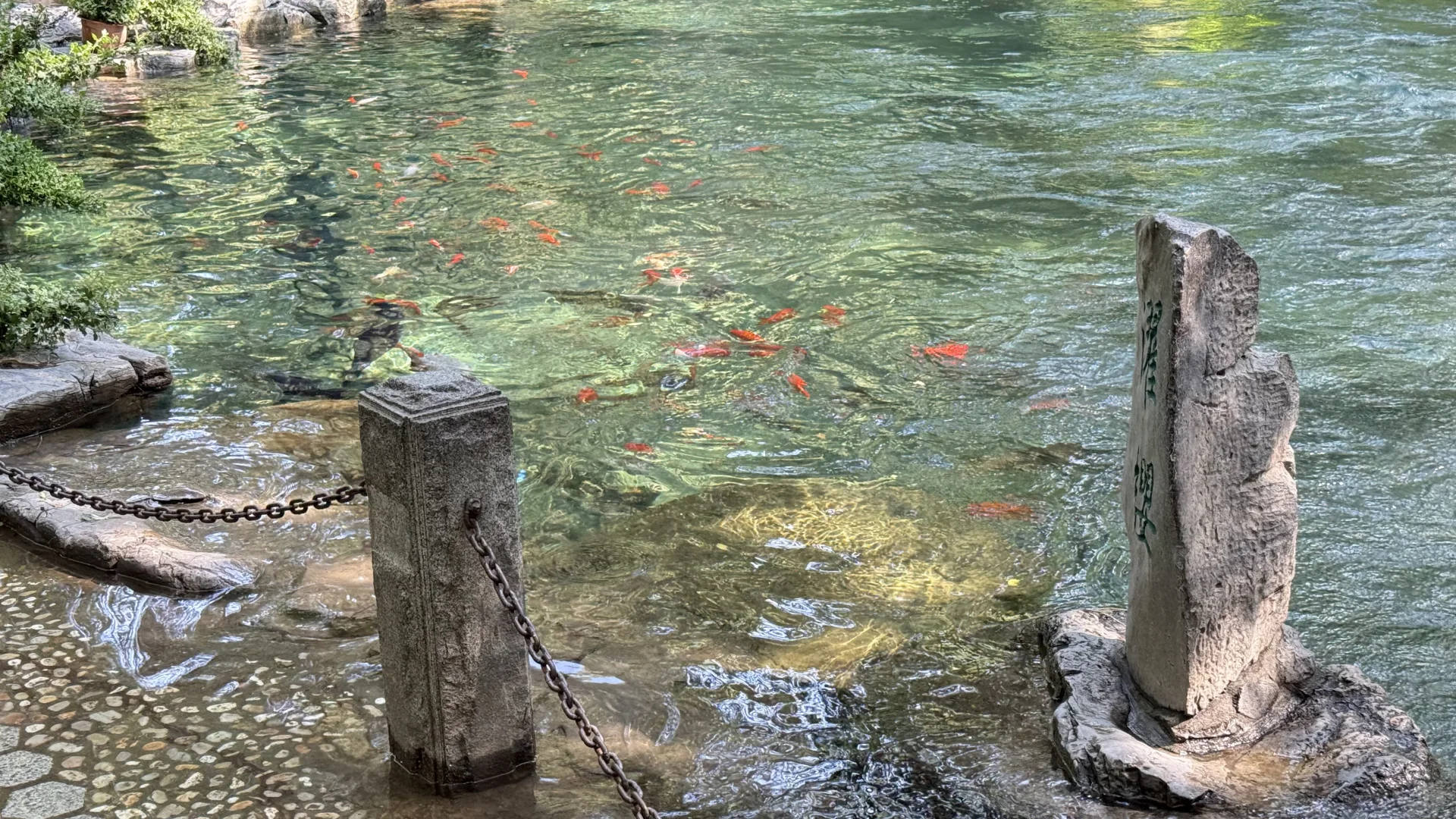 live图｜今天的济南是“清泉石上流”的具象化