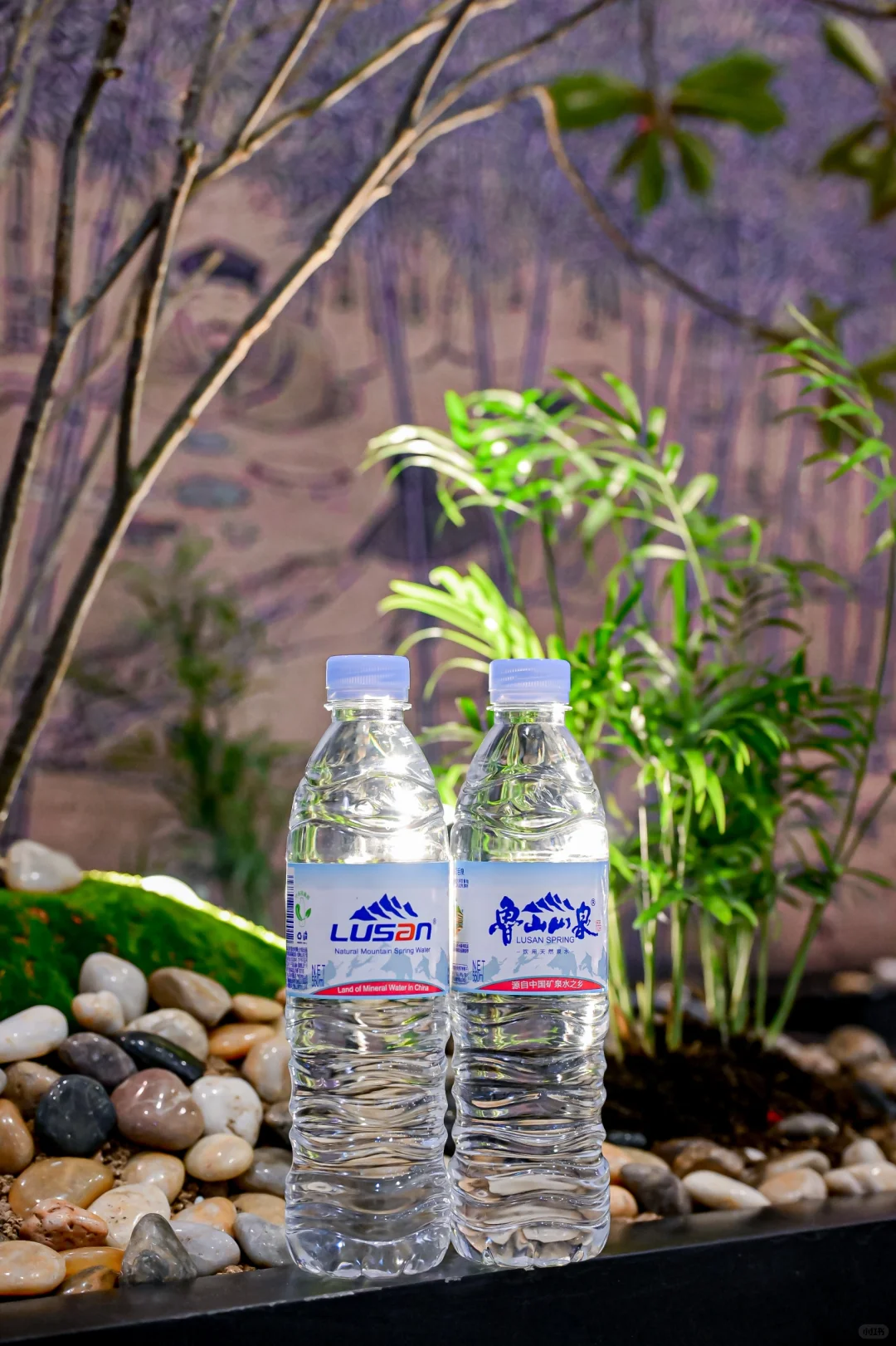 鲁山山泉550ml 饮用天然泉水