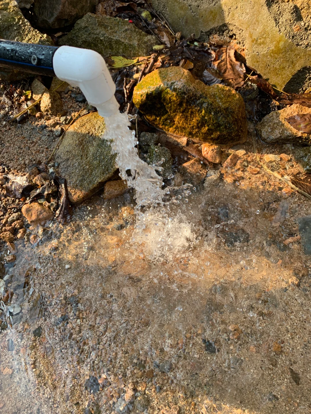 去郊区，一定要打甘甜的天然山泉水?回来