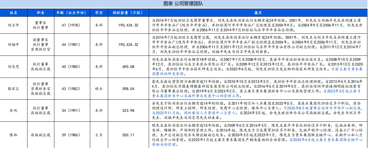 2025年卫龙市场分析报告2份