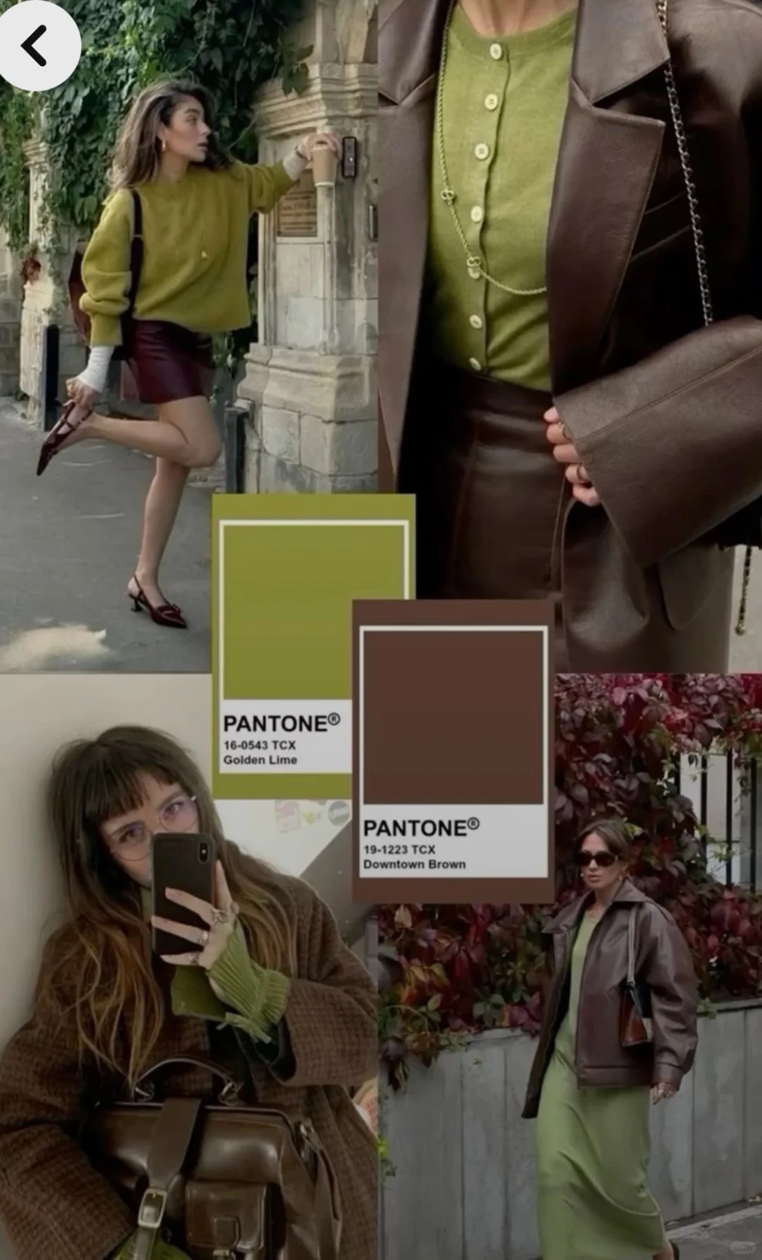 26秋冬两色搭配方案