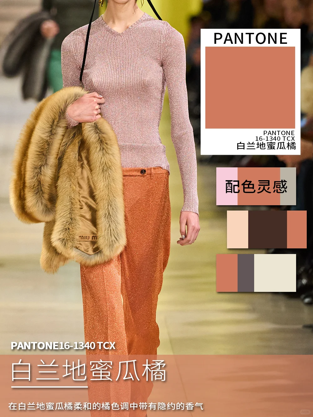 25/26秋冬时装周直击十大亮点色彩