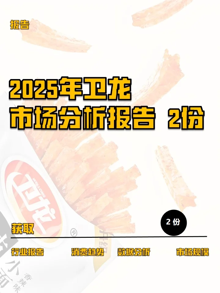 2025年卫龙市场分析报告2份