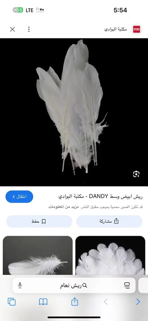 广交会捞供应商