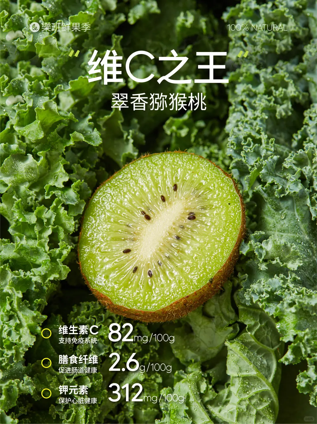 绿野仙踪3.0 限时回归??