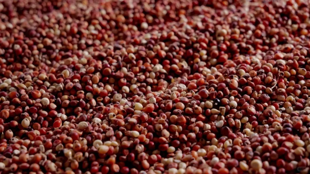 重阳下沙｜一坛酱香酒生命的起点