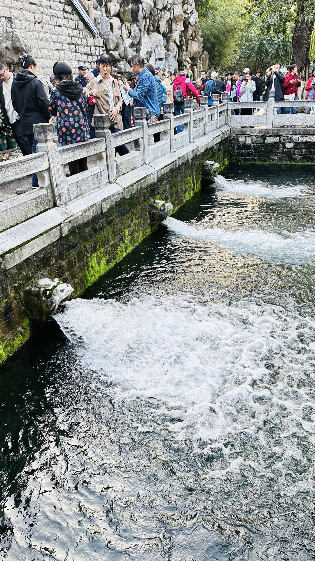 济南的泉水杀疯了！！！！！！！50年不遇
