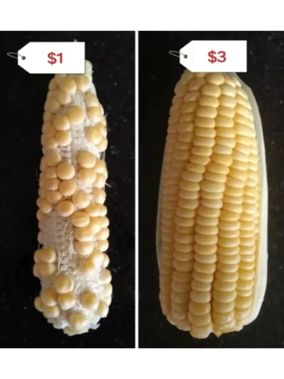 听说这些外贸表情包不管用了？
