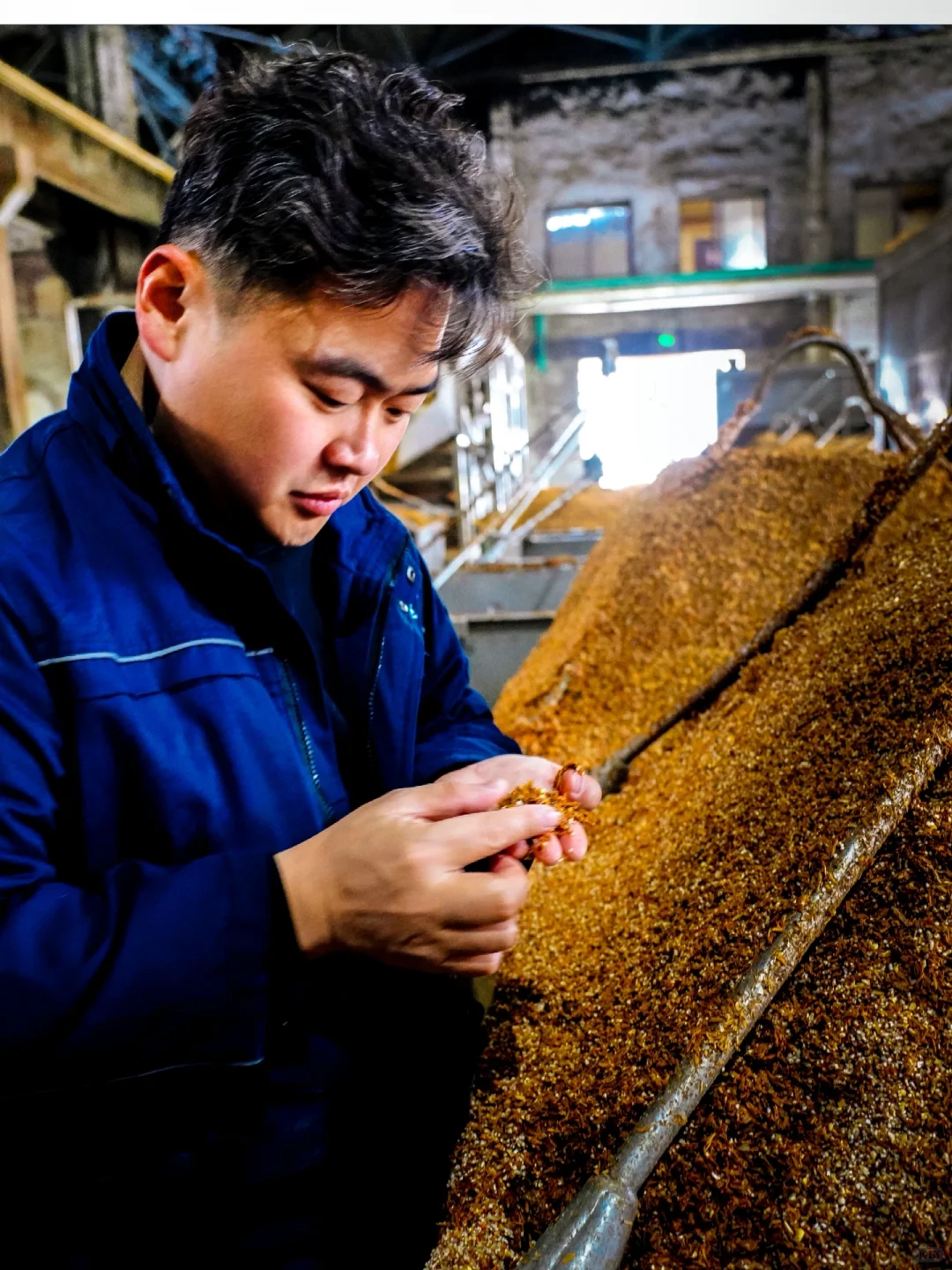 都是纯粮酒，为什么有价格区分?（原创）