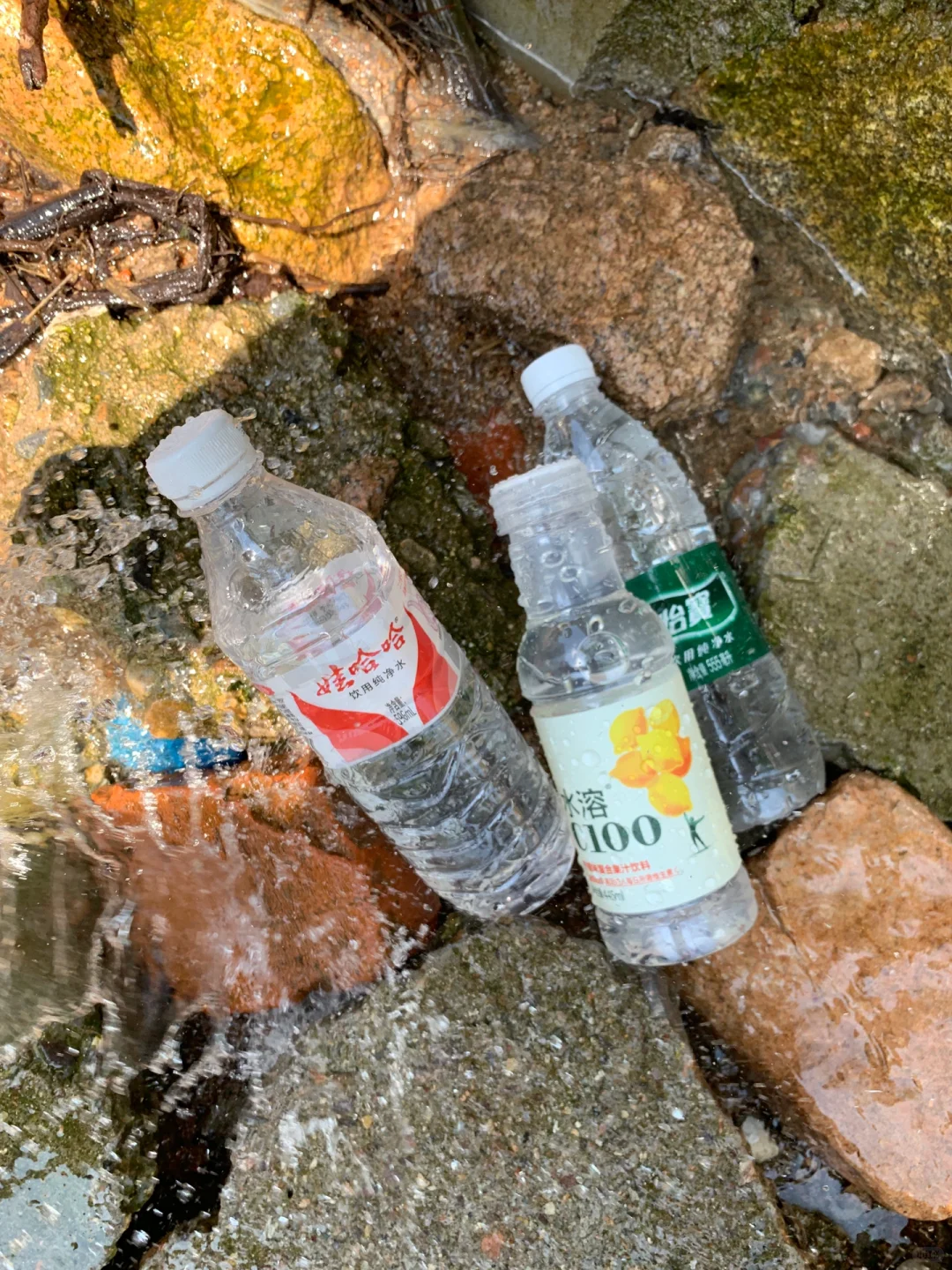 去郊区，一定要打甘甜的天然山泉水?回来