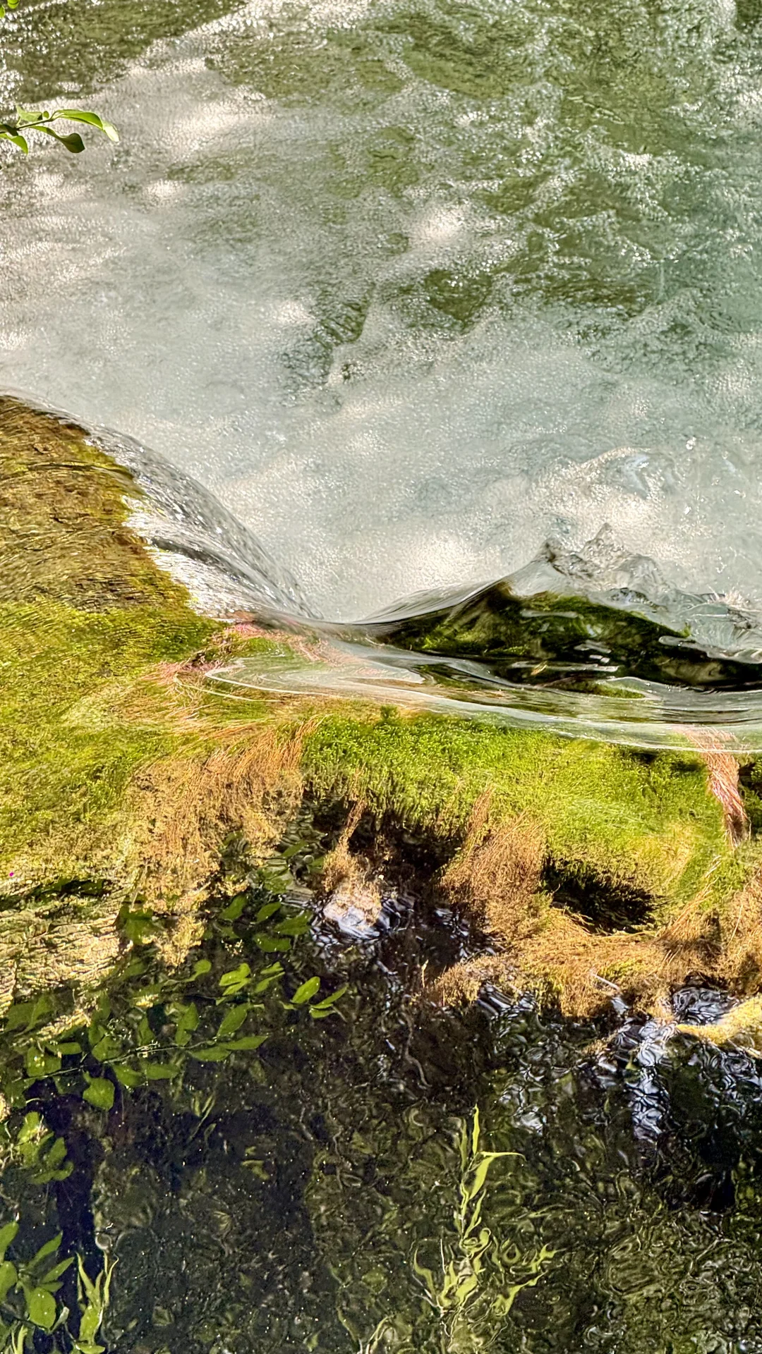 live图｜今天的济南是“清泉石上流”的具象化