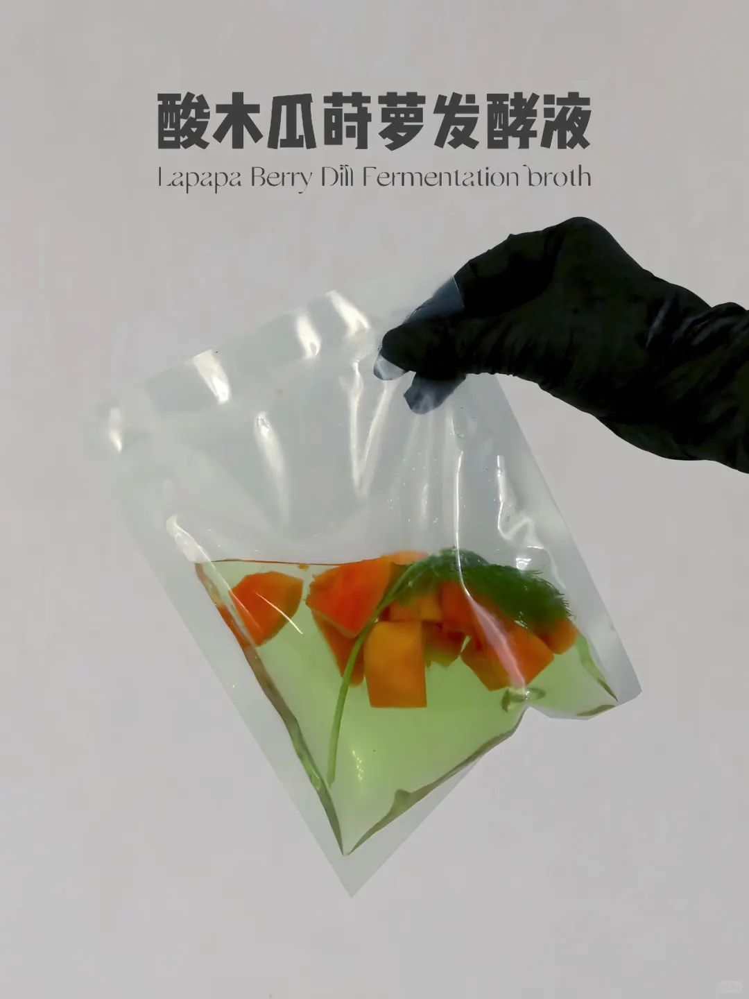 风味自制丨酸木瓜莳萝发酵液