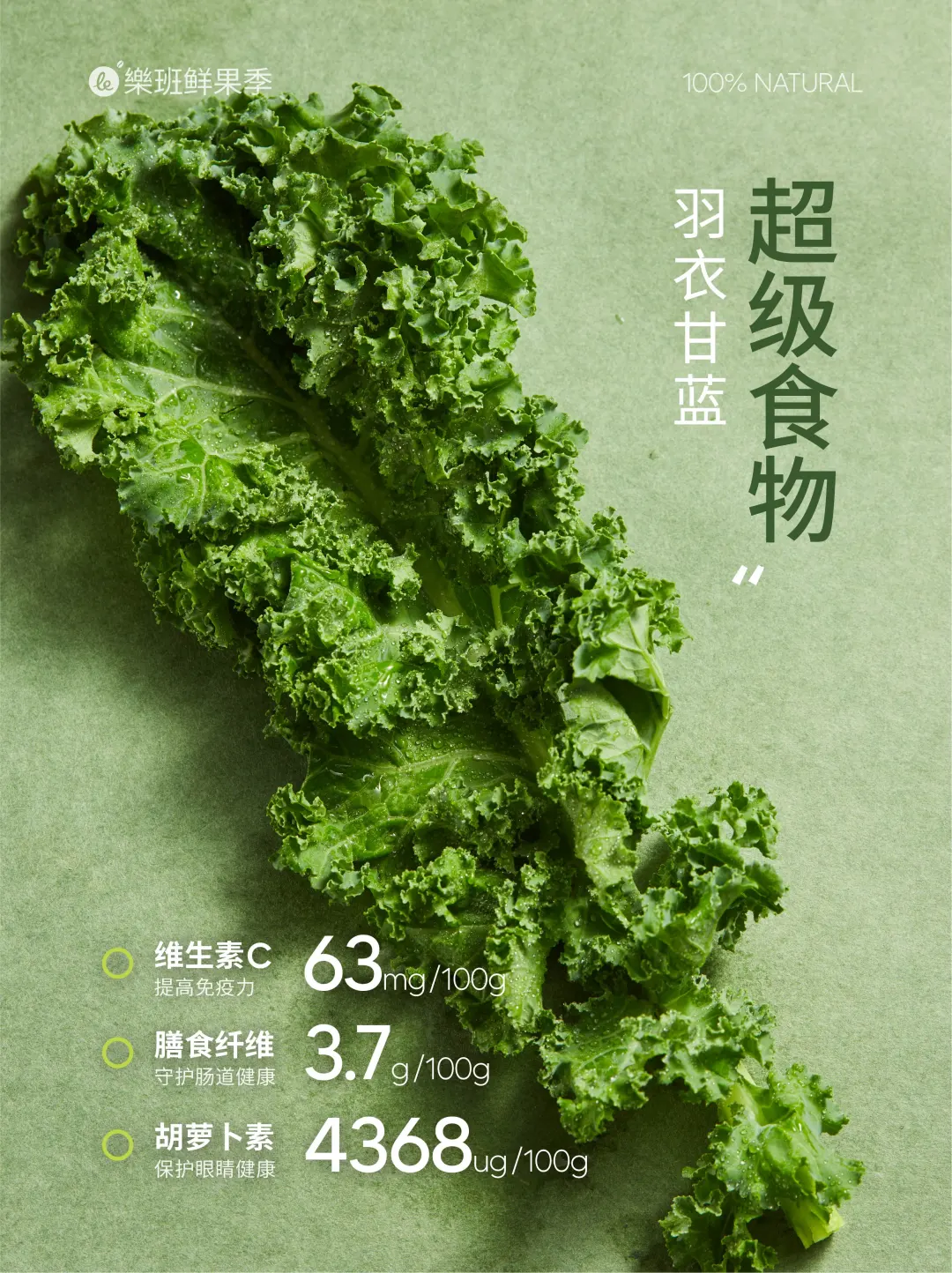 绿野仙踪3.0 限时回归??