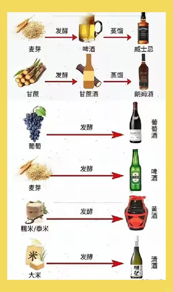 一图秒懂酒是怎么酿造的～