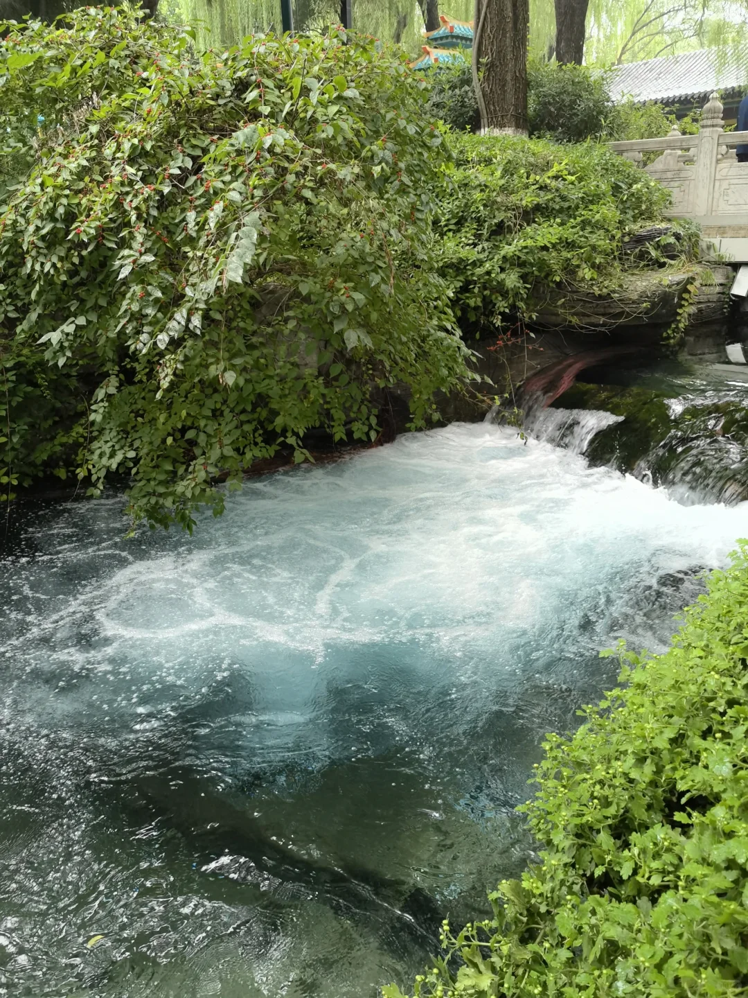 济南的独一份儿