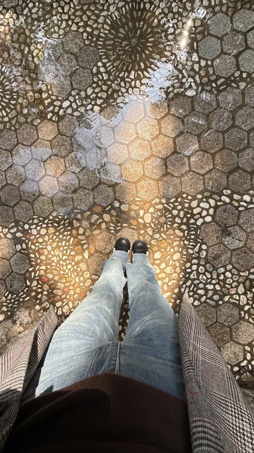 live图｜今天的济南是“清泉石上流”的具象化