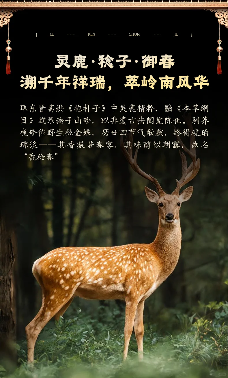 鹿稔春·鹿雅酒:岭南灵蕴凝琼浆滋补天花板