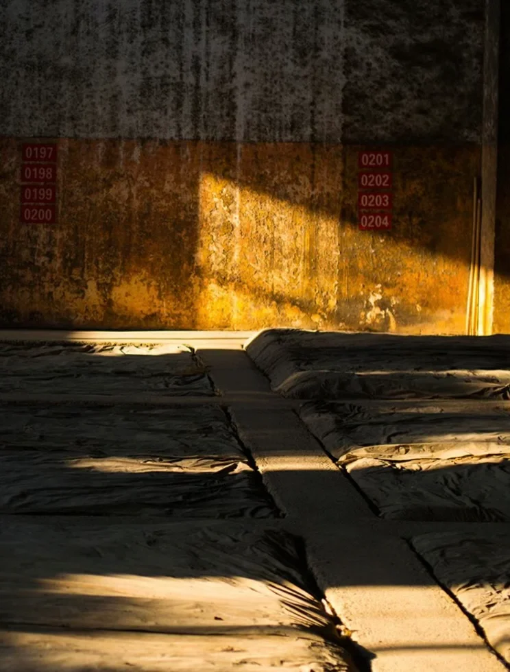 中国白酒从哪来？