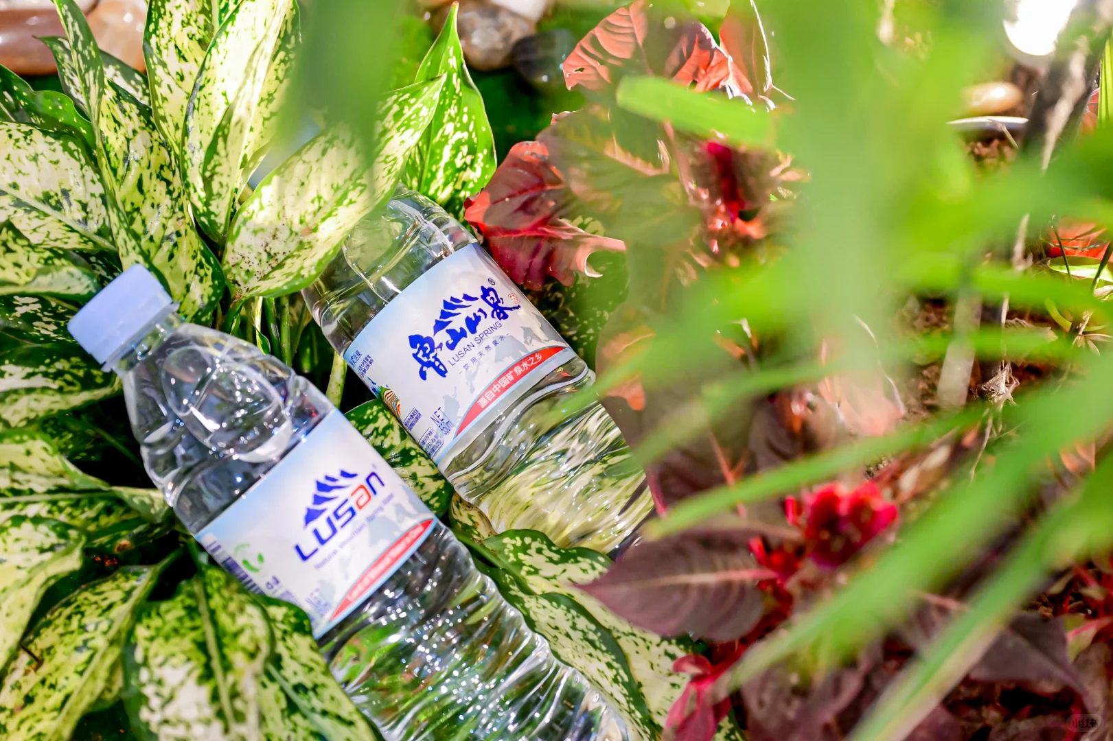 鲁山山泉550ml 饮用天然泉水